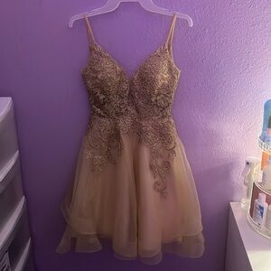 Homecoming dress or Quince/Dama dress